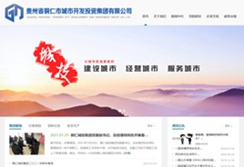 洮北城市开发投资集团有限公司