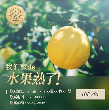 洮北果园果林小程序开发